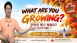 Start, Cross, Fruit