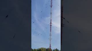 Massive  Tower WTAM 1100  Cleveland's Popular 50,000 Watt  Radio. Heavy Loaded  With 3 FM Stations