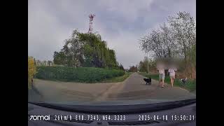Na Spacerze Z Pieskami - Wiejska Droga