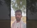 raju