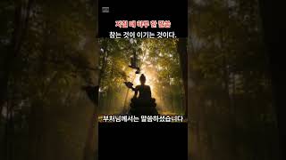 #하루한말씀 #부처님말씀 #화를참는법 #마음공부 #내면수행  #불교명언 #참는게이기는거다 #감정조절 #명상말씀 #자기수양#BuddhaQuotes #ControlYourself