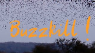 Buzzkill | Teaser trailer 3