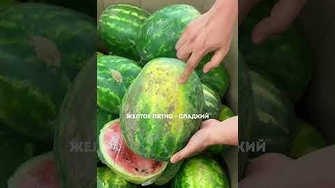 Как правильно выбирать арбуз 🍉 Лайфхак
