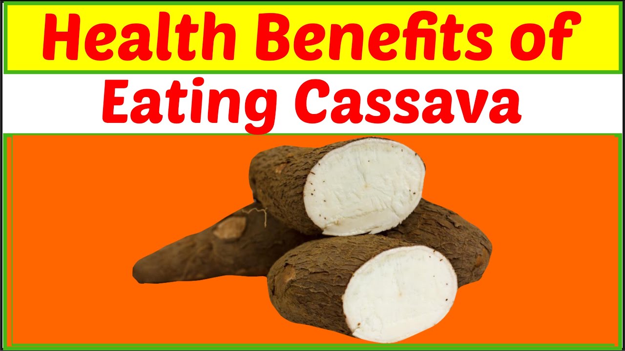 The Health Benefits Of Eating Cassava YouTube the-health-benefits-of-eating-cassava-youtube