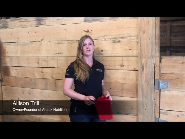 ATERAK NUTRITION - Grain Tip Tuesday: Why You Should Watch Your Horse Eat class=