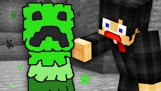 Minecraft, But Everything I Touch turns to Cartoon...