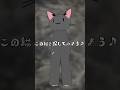 フレンド探しvol3 #vr #vrchat #vrゲーム #vtuber #そばぷろっ #ブイチューバー #まちがいさがし #猫