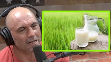 Joe Rogan on the Government
