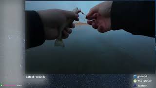 Download Lagu Highlight: Fishing time! - Dink #3 MP3