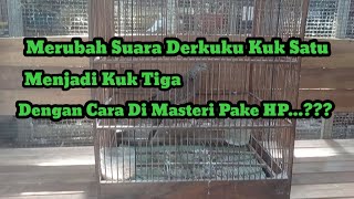 #14#Changing the sound of the Derkuku kuk one to kuk three by mastering it using a cellphone.