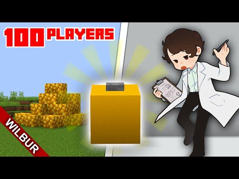 Minecraft Social Experiment: The Button