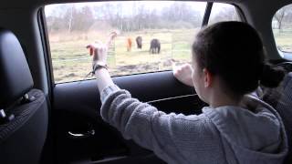 Window To The World Winner - Speculative