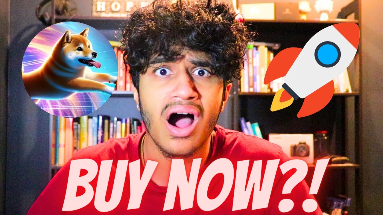 DOGEVERSE WILL 100X!! THIS PRESALE WILL BLOW UP!!