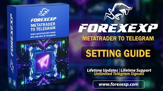 Set Up The Expert In Metatrader 4