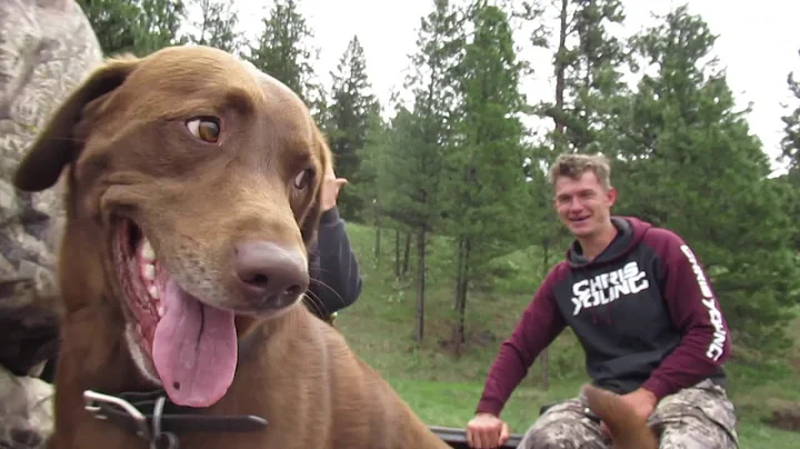2018 Elk Browns Part 6 Brandon Pitcher ( Montana Shed Runs )