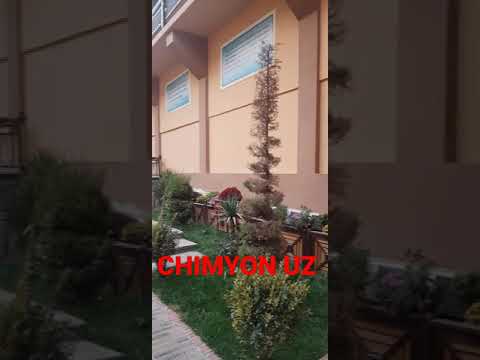 Video: Chodirlar Bilan Dam Olish Uchun Qaerga Borish Yaxshiroq
