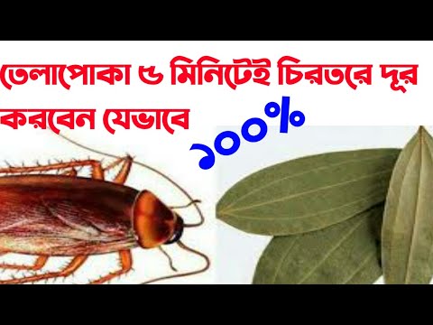 ভিডিও: গ্যাস লিক শনাক্ত করার 4 টি উপায়