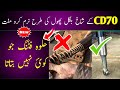 CD70 k shakhoon ko bilkul narm bnao Free✅💯😳