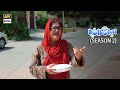 Watch Bulbulay Season 2 Every Sunday at 6 : 30 Pm only on ARY Digital Online In Hd