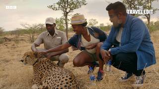 Romesh Ranganathan's Encounter With A Cheetah In Zimbabwe | The Travel Edit
