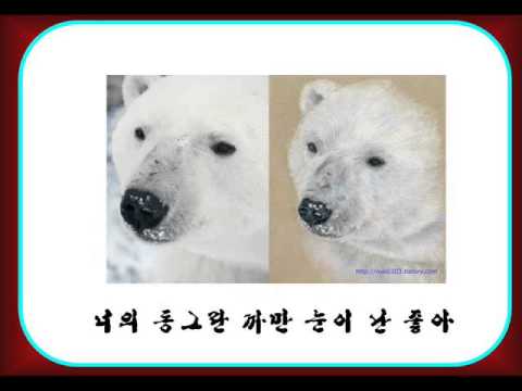 북극곰아-연수초등학교(민대홍)