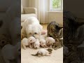 🌸“Gentle Guardians: A Puppy and Cat Care for Their Tiny Family” #shorts #kitten #puppy #friendship
