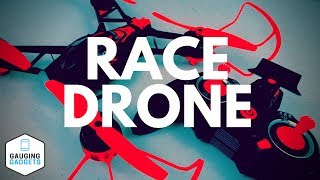 DRL Race Vision 220 Drone Review - Nikko Air 220 FPV Pro