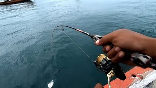 ultralight jigging spot jangkaran pantai sine Tulungagung