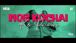 Kochai Paan Remix || Deejay Dels || MP3 Link In Description 👇👇👇👇
