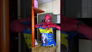 Spider-Man Saves The Animals