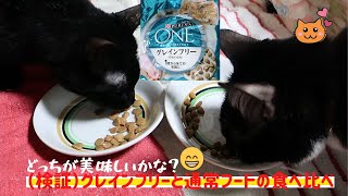 （検証）グレインフリーと通常フードの食べ比べCat grain-free verification