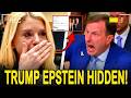 ''Pam Bondi REFUSES to Release Epstein Documents Linking Trump Full Hearing Breakdown''