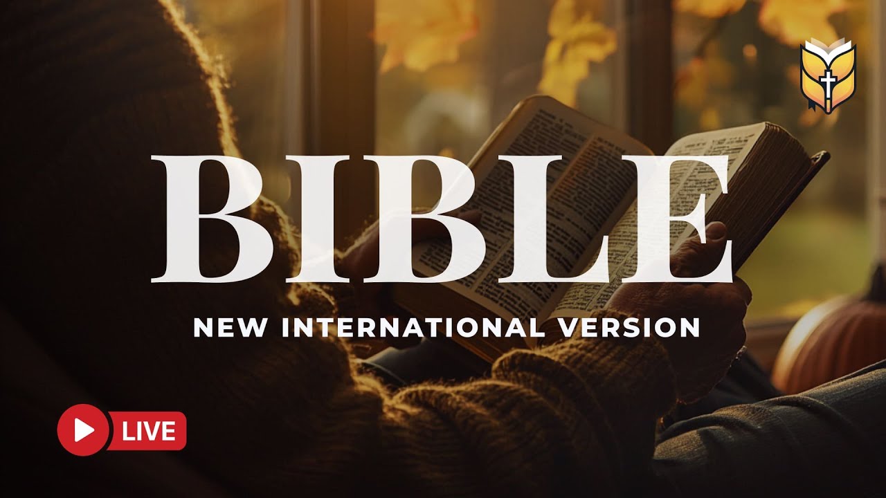 Holy Bible NIV – Words of Faith, Prayer, and Eternal Light 🔴 BibleVision LIVE