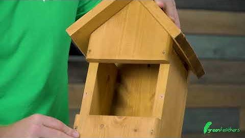 WiFi Bird Box Camera | How to Install in our Bird Boxes