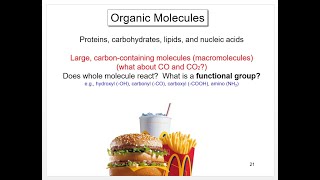 Lecture 2, Bio 201, chemical basis of life part 2