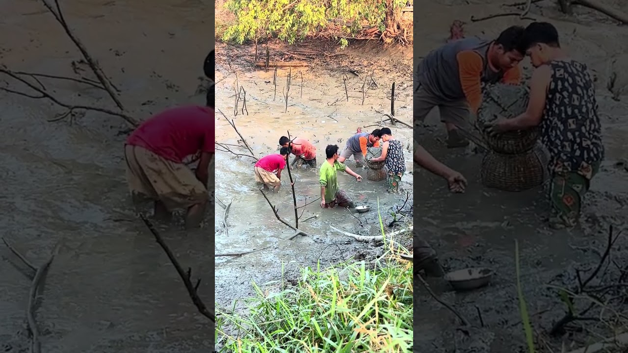 ငါးရံ့အကိတ်တွေဖမ်းမယ်