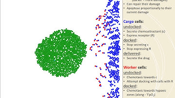 PhysiCell demo: anti-cancer biorobots