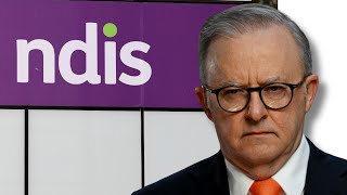 Albanese flags NDIS reforms to combat exploitation by ‘unscrupulous’ individuals