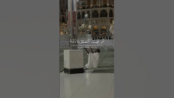 امن يجيب المضطر اذا دعاه | #ياسر_الدوسري #قرآن #quran #سورة_النمل