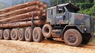 Extreme Dangerous Idiots Fastest Biggest Logging Wood Truck &amp; Heavy Equipment Truck Fails Driving