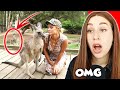 FUNNIEST Selfie Fails Of All Time - REACTION