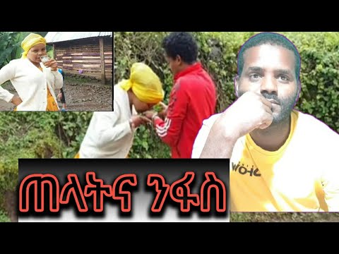 ቪዲዮ: ንፋስ ምን ይወርሳል?