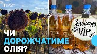 На Полтавщині урожай соняшника 2025-го вплине на вартість олії