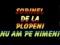 SORINEL DE LA PLOPENI    NU AM PE NIMENII