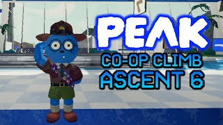 PEAK - CO-OP ASCENT 6