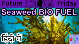 Seaweed BioFuel Explained In HINDI {Future Friday}