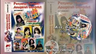 Air Bunga ( Disco Remix ) - Rita Sugiarto