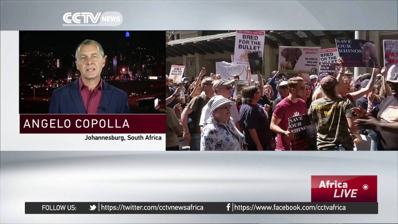 CITES 2016:  Conservationists keen on curbing Rhino poaching