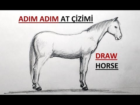 Video: Aşamalarda Bir At Nasıl çizilir