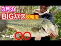 【早春のバス釣り解説】確実にバスは動く!! ３月はどんなことを意識して釣って行くか？【水の旅＃ １２５】